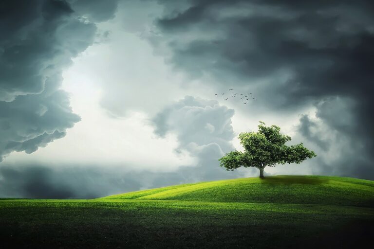 tree clouds fields grass 832079